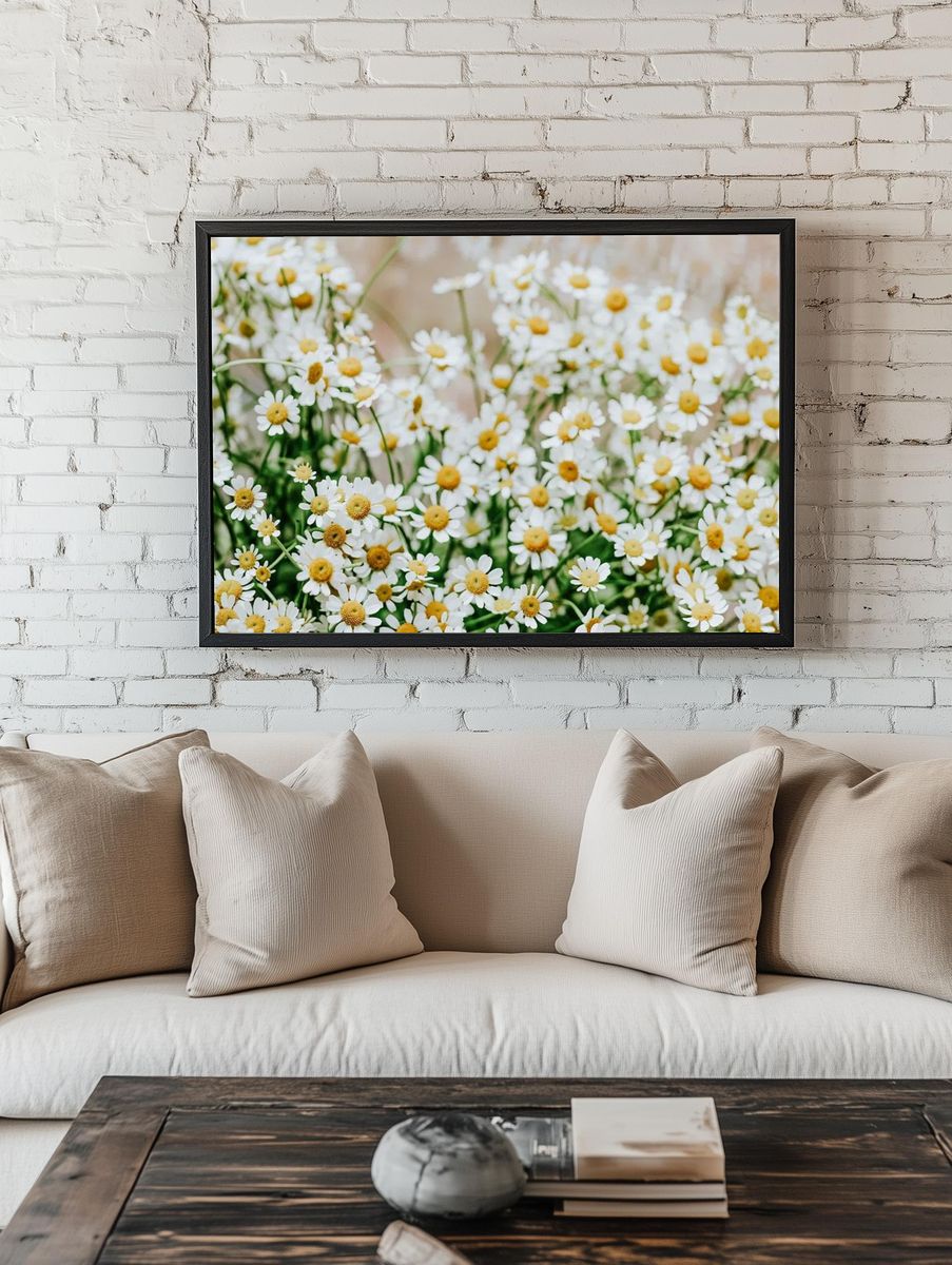 White flower desktop wallpaper, daisy room preview