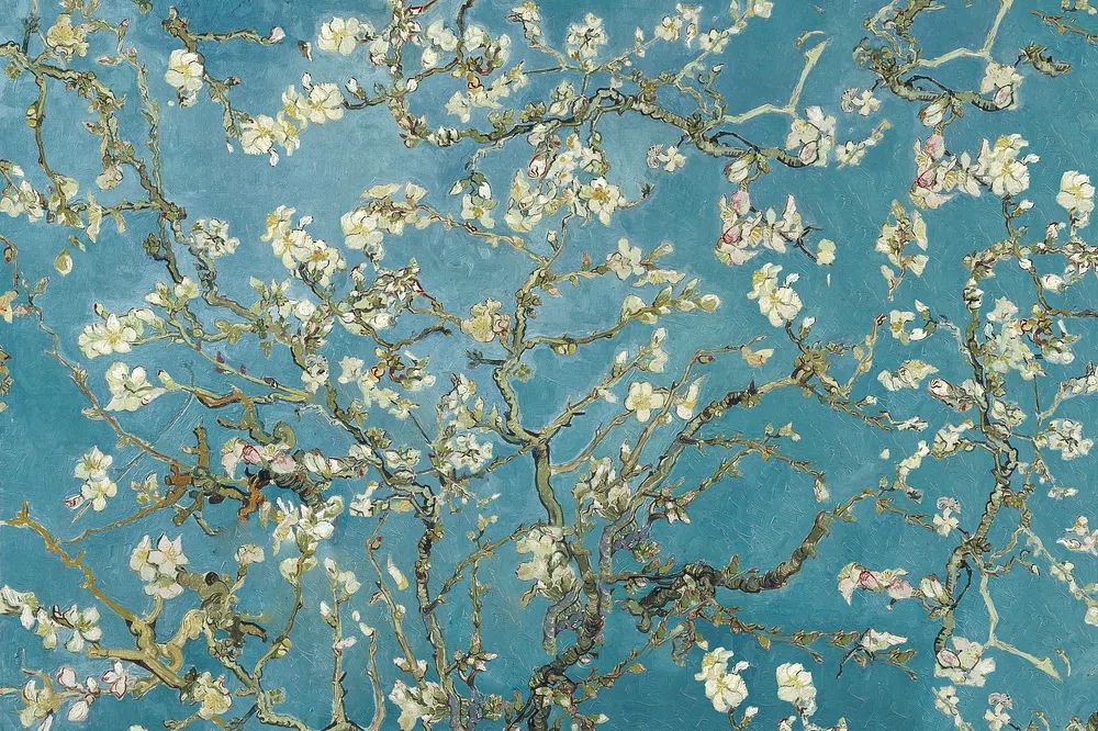Van Gogh's Almond blossom background. poster detail