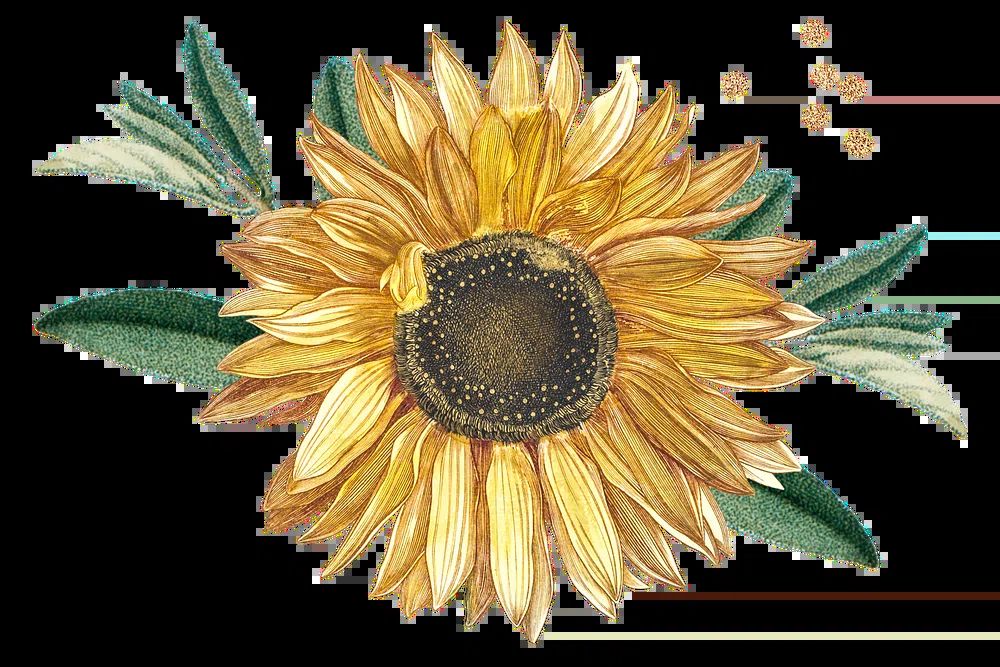 Pressed Ginkgo Leaves Botanical Print. poster detail