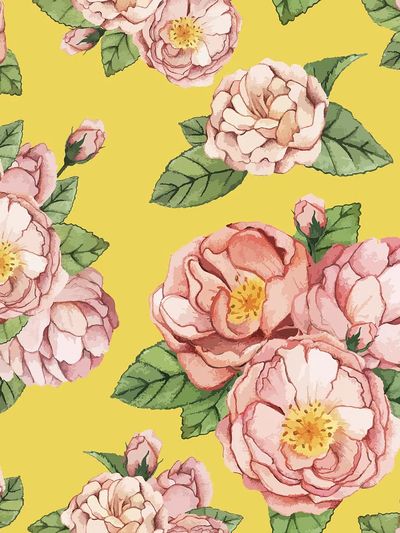 Hand drawn peony flower isolated. poster print