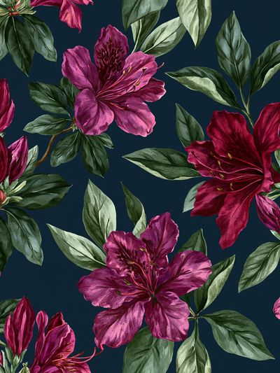 Magenta Azalea Botanical Poster.