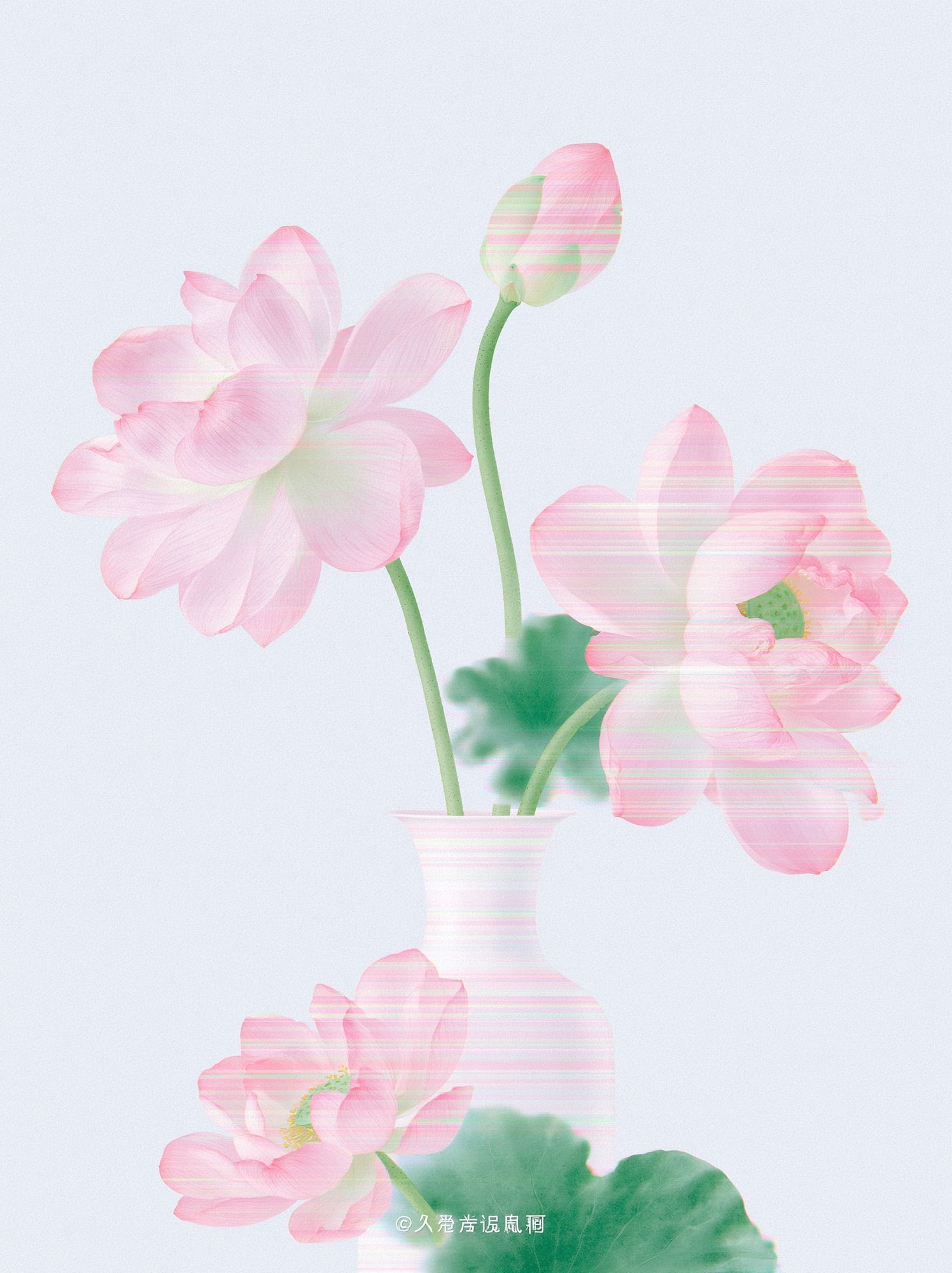 Pink Lotus Flowers Botanical Print. poster detail