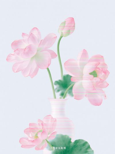 Pink Lotus Flowers Botanical Print.