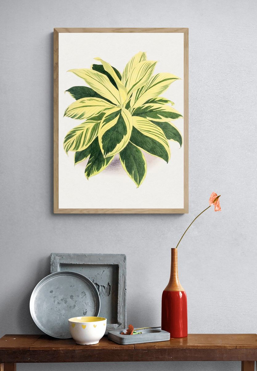 Hand drawn dracaena plant. Original. — room view 3