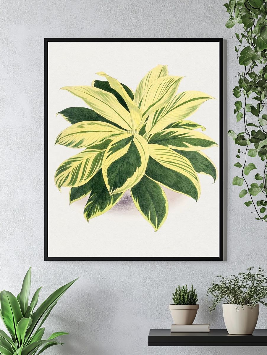 Hand drawn dracaena plant. Original. — room view 4