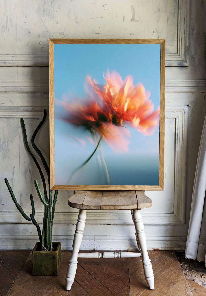 Blurred Flower Abstract Print. room preview