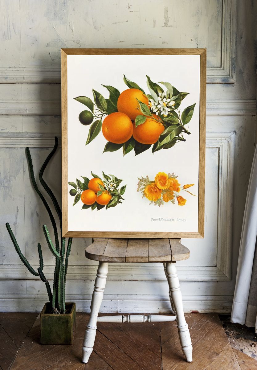 Oranges poppies (1895), vintage fruit room preview
