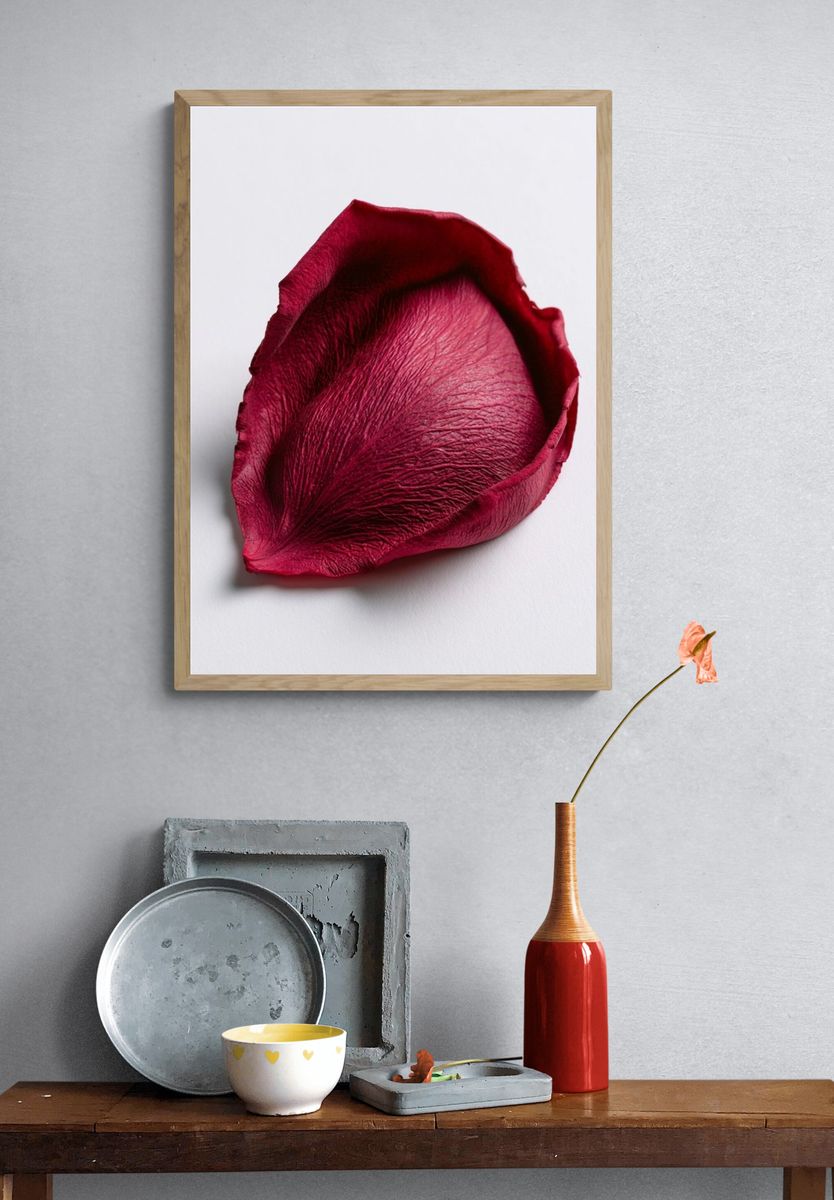 Crimson Rose Petal Photography Poster. — room view 3
