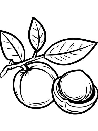 Peach Branch Line Art Poster. poster
