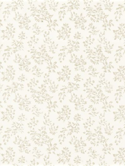 Cream Botanical Pattern Poster. poster print