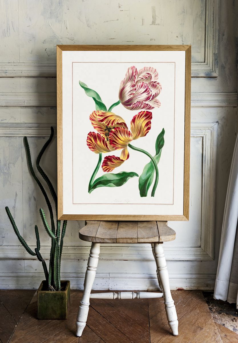 Various Tulips (1791) high resolution room preview