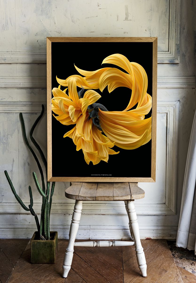 Golden Sunflower Bloom Print. — room view 1