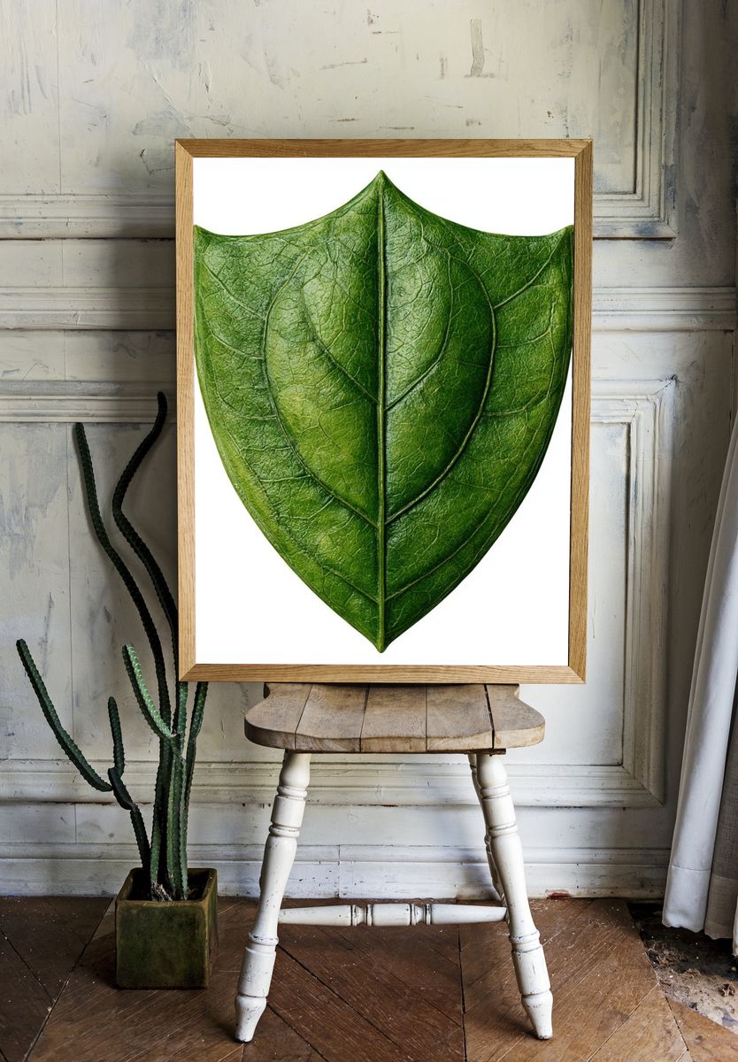 Green Leaf Shield Botanical Print. — room view 1