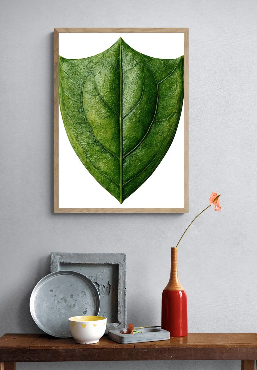 Green Leaf Shield Botanical Print. — room view 3