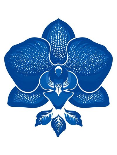 Blue Orchid Botanical Print. poster