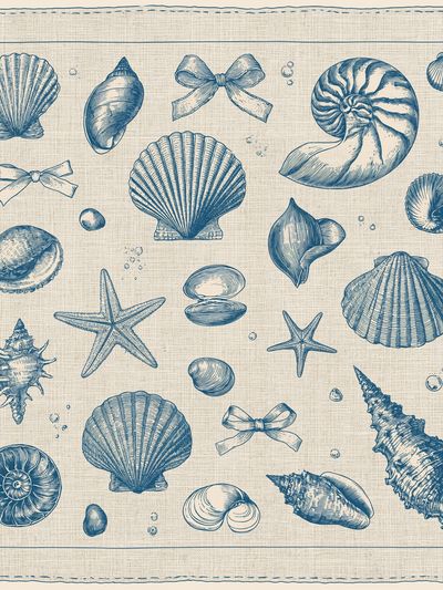 Seashell Collection Vintage Print. poster