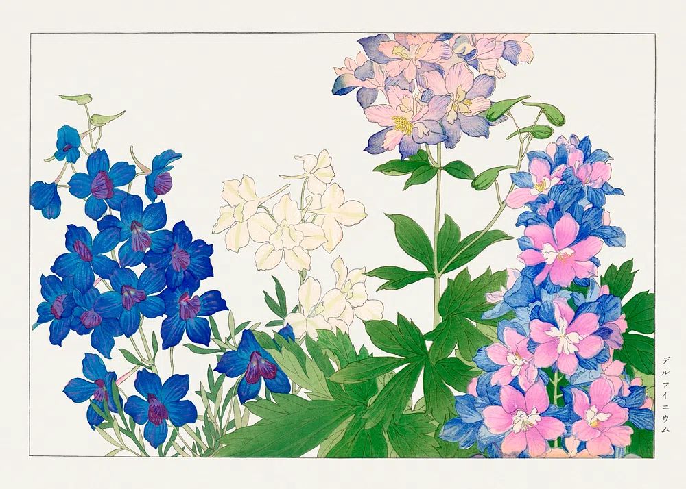 Delphinium flower, Japanese woodblock art. poster — botanical art