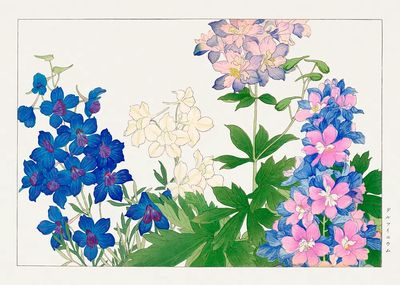 Delphinium flower, Japanese woodblock art. poster print