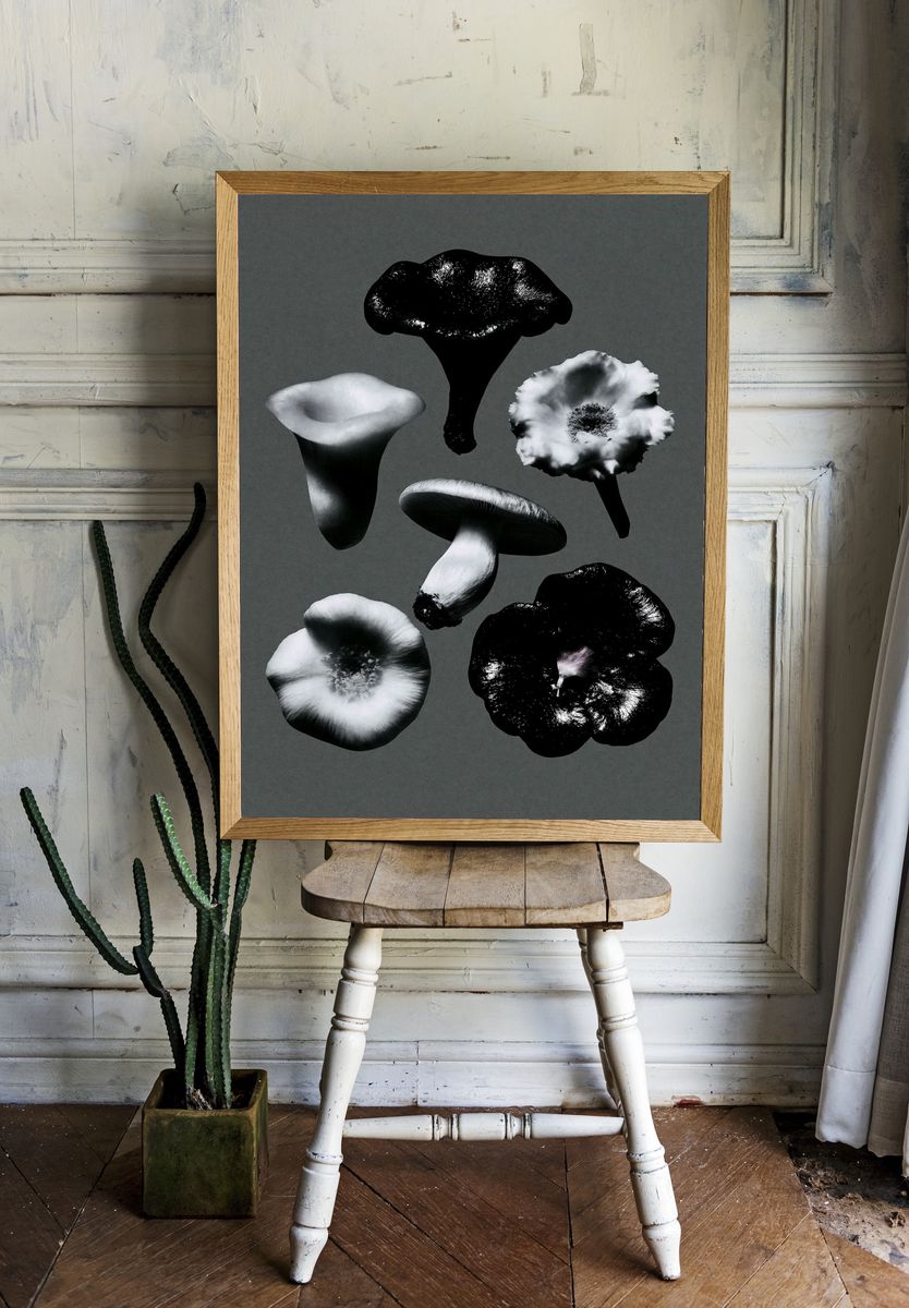 Monochrome Mushroom Study Poster. room preview