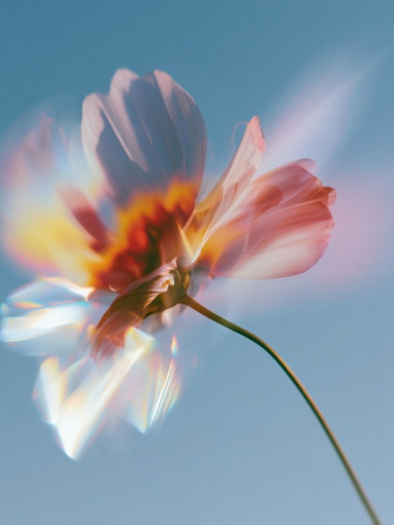 Dreamy Flower Bloom Photography Poster. poster detail
