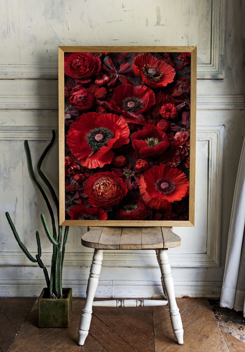 Crimson Poppy Blooms Botanical Print. room preview
