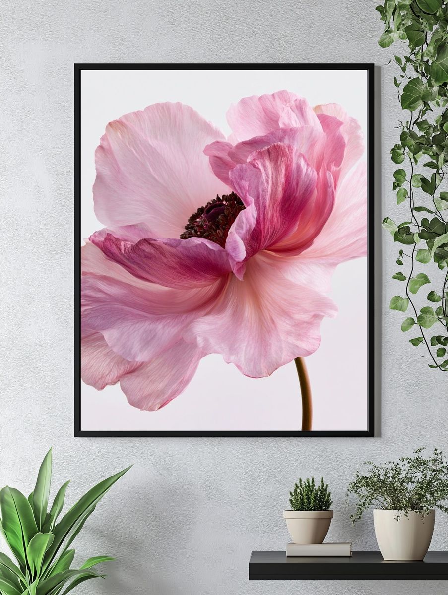 Pink Anemone Botanical Print. — room view 4