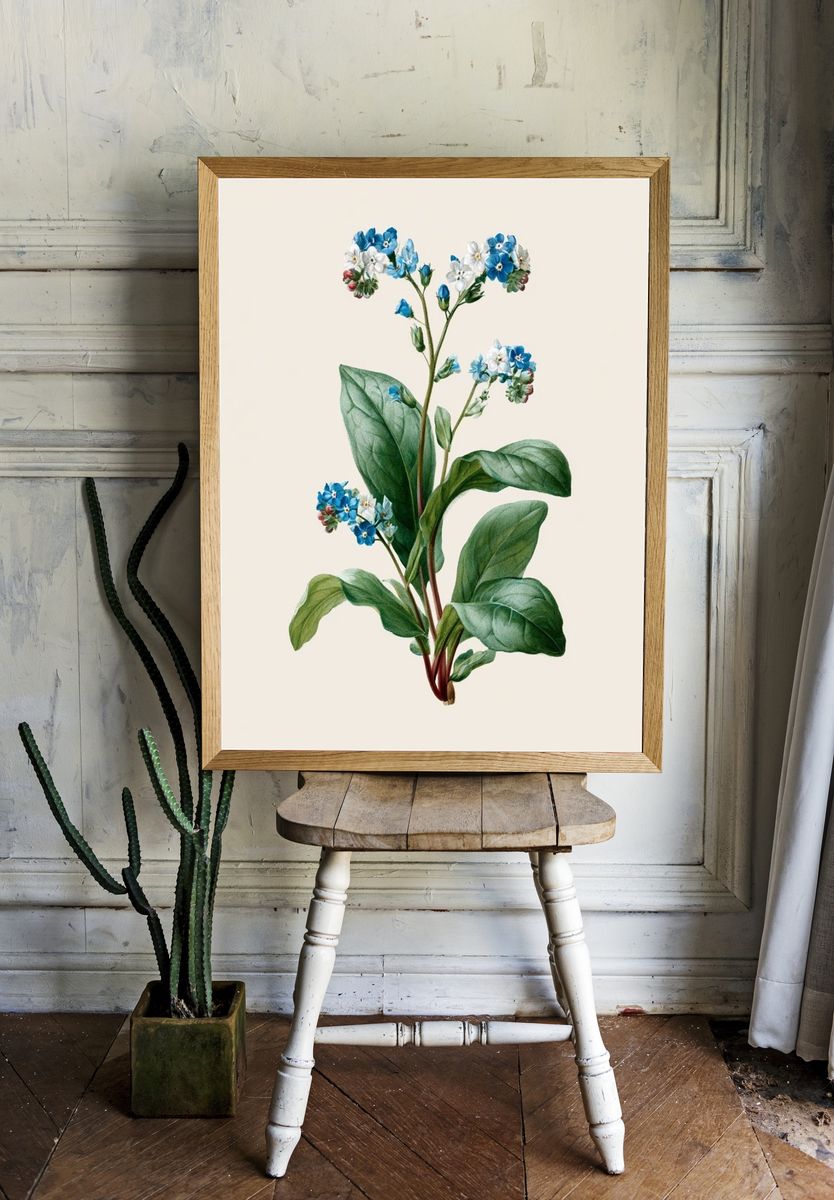 Blue Forget-Me-Not Botanical Poster. room preview