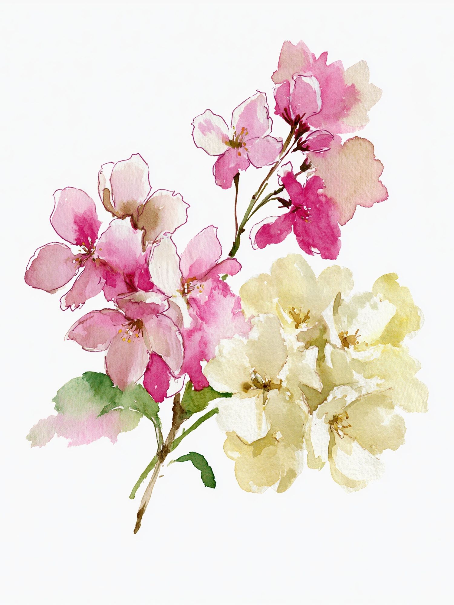 Cherry Blossom Watercolor Poster. poster — botanical art