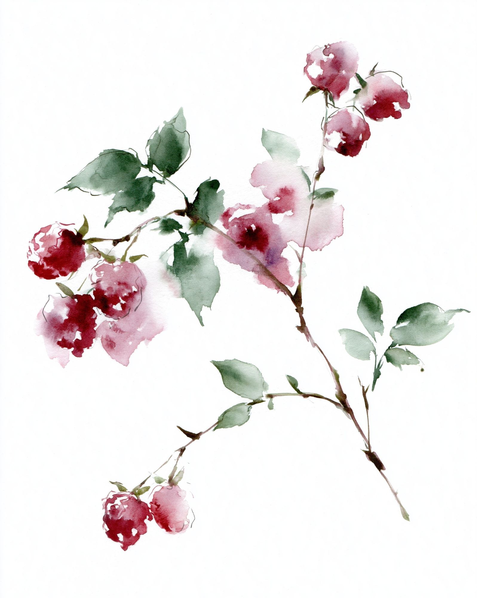 Watercolor Cherry Blossom Botanical Poster. poster detail