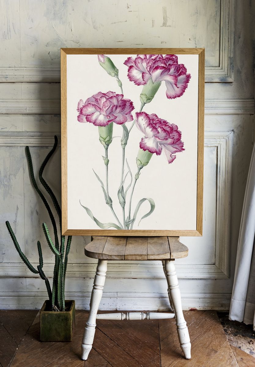 Pink Carnations Botanical Print. — room view 1