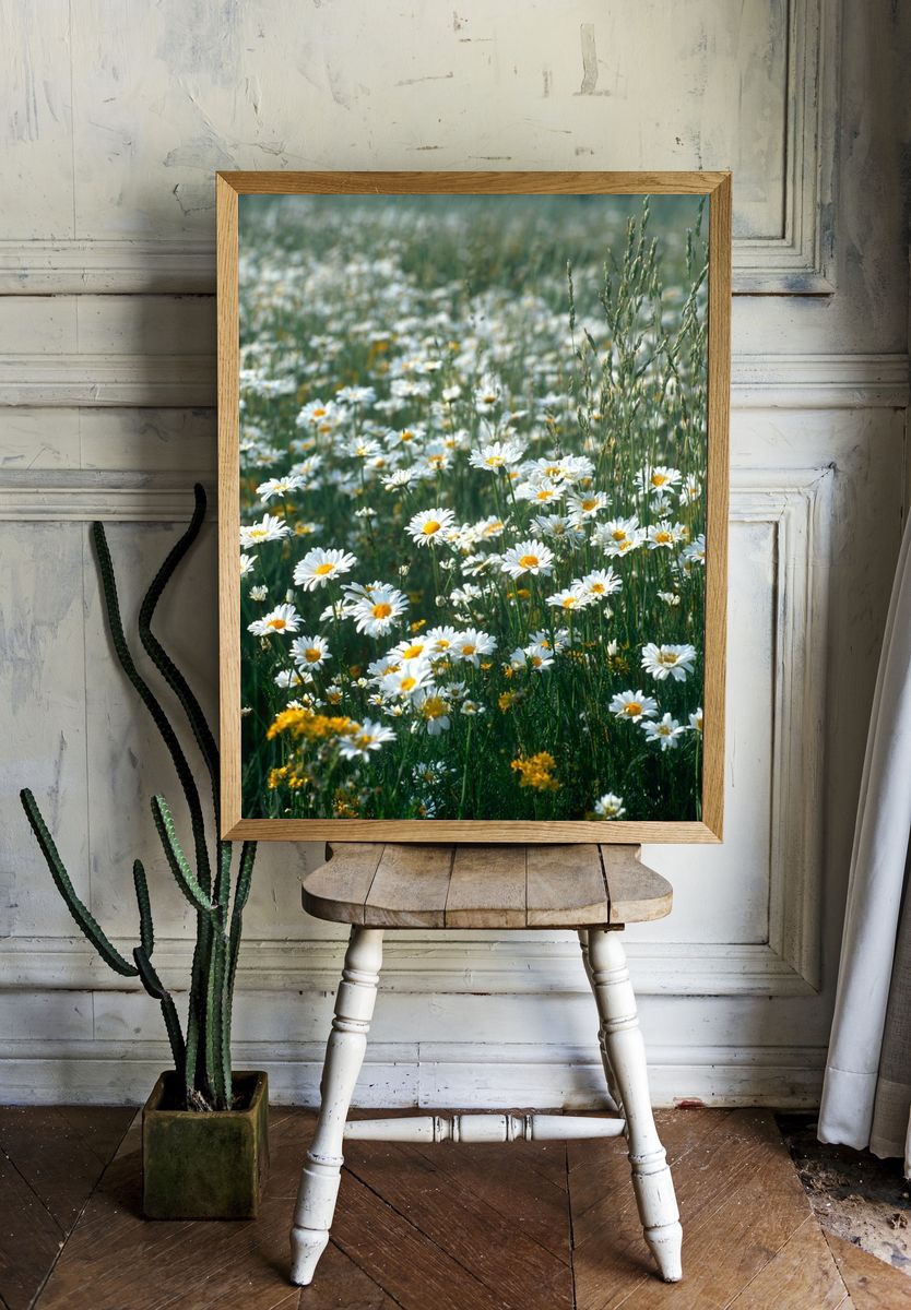 Wild Daisy Meadow Photography Poster. — room view 1