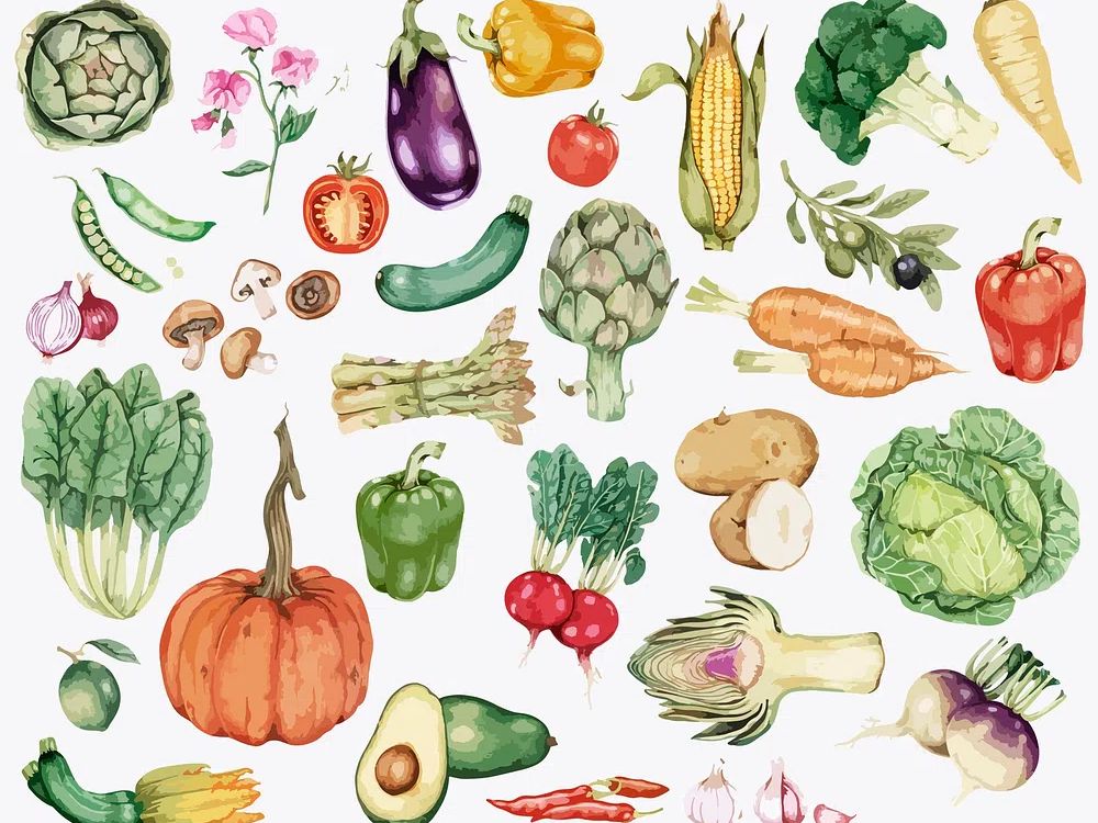 Collection of colorful vegetable illustration. poster detail