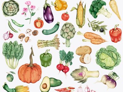 Collection of colorful vegetable illustration.