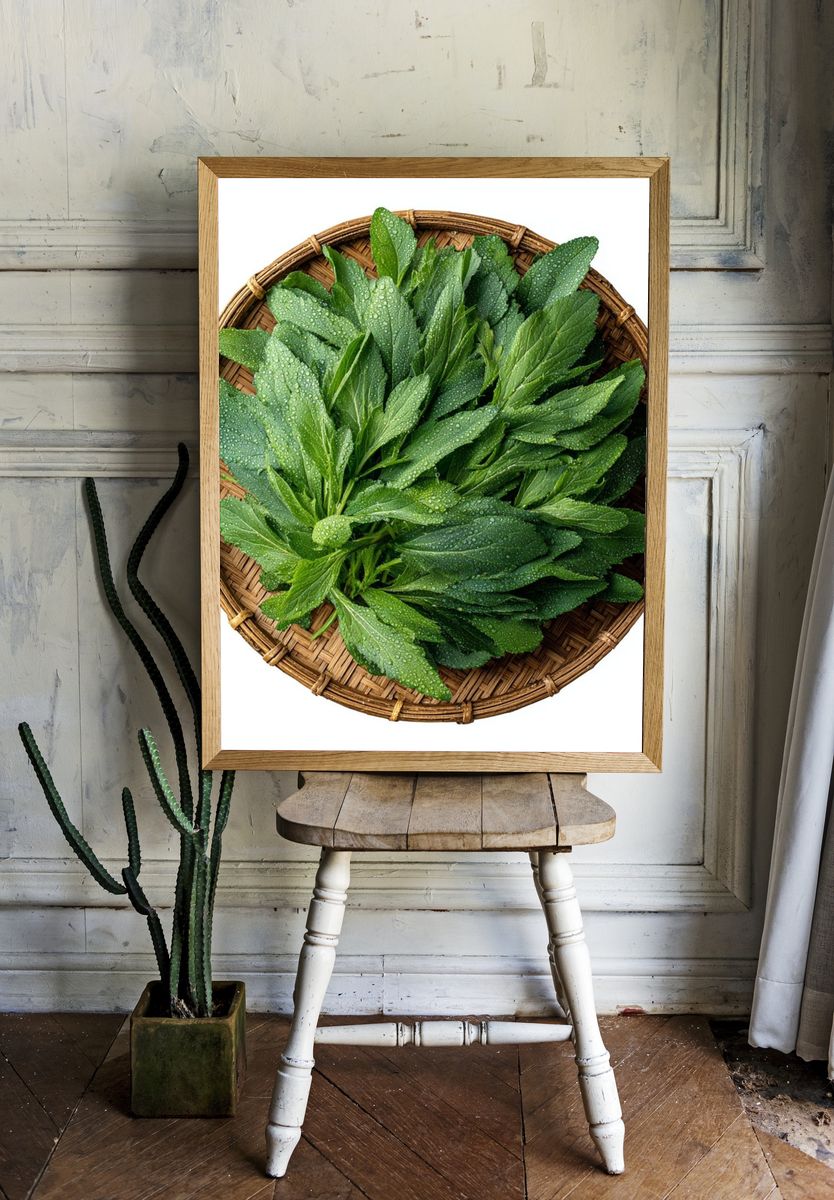 Fresh Green Leaves Botanical Print. room preview