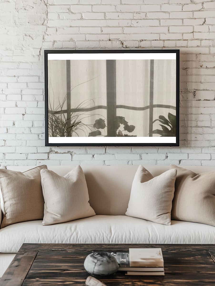 Shadow window frame plants pots. room preview