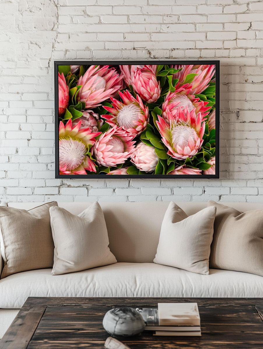 Originally South Africa, lush protea. room preview