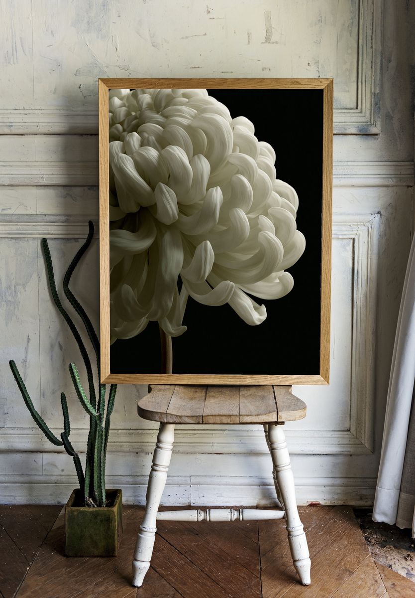 White Chrysanthemum Photography Poster. room preview