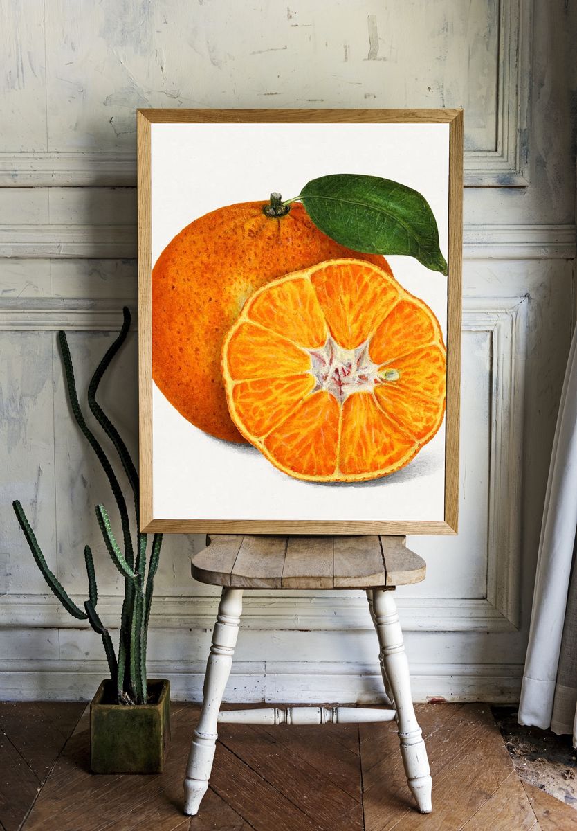 Delicious orange tangerine illustration. Digitally room preview