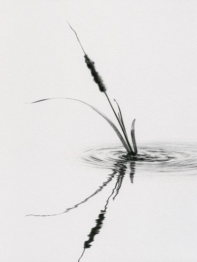 Ink Reed Reflection Print.