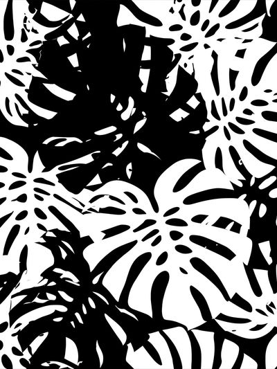 Monstera Leaf Pattern Print. poster print