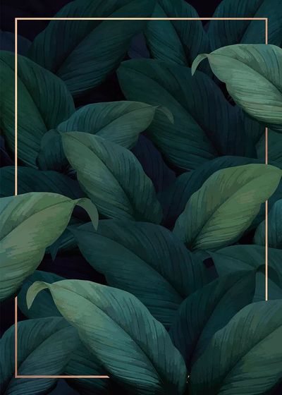 Green tropical leaves patterned poster. poster print
