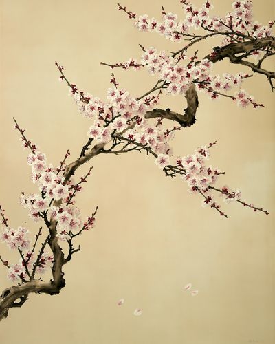 Cherry Blossom Branches Botanical Print.