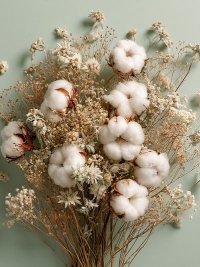 Cotton Bouquet Botanical Print.