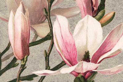 Vintage flower desktop wallpaper, background.