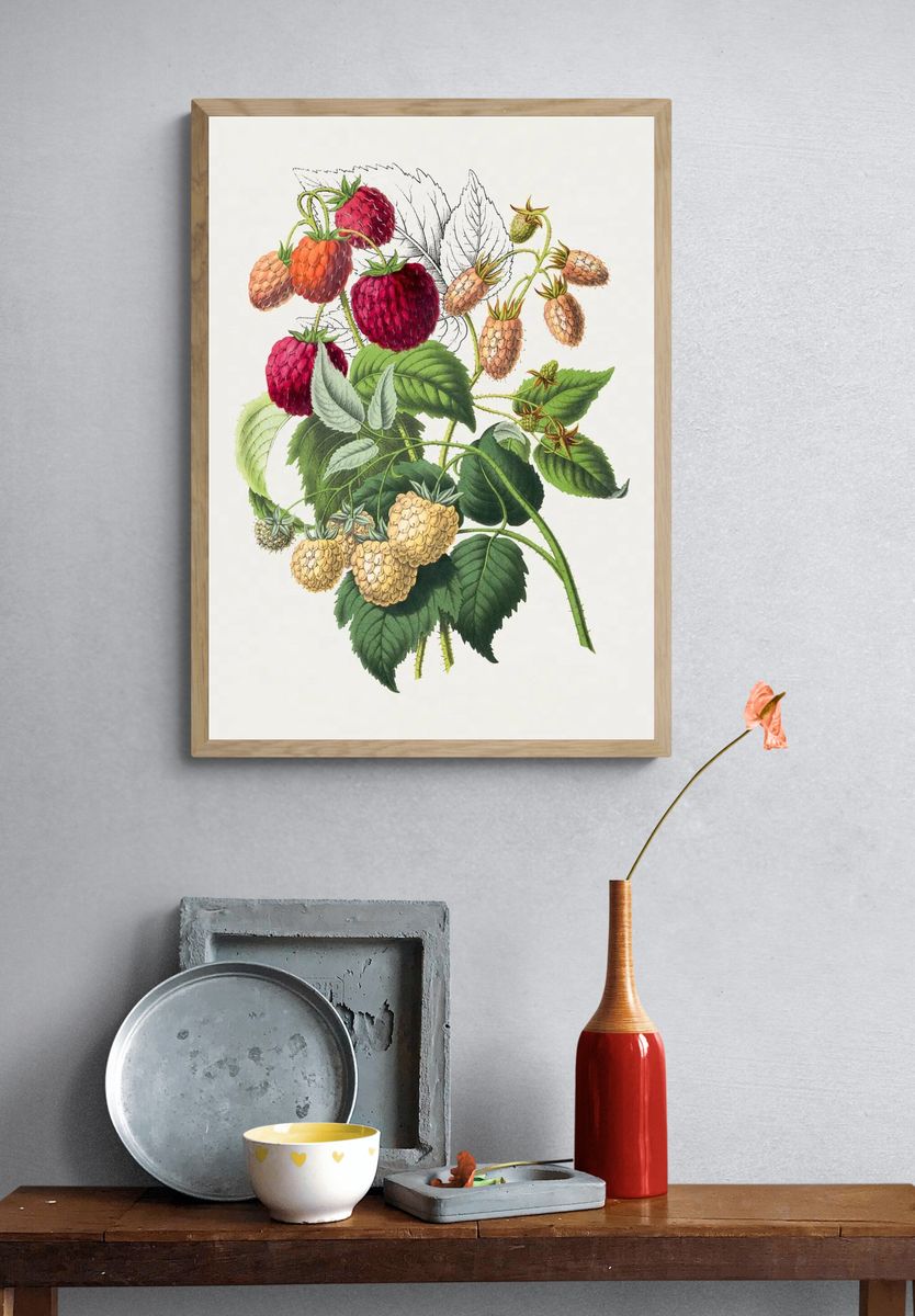 Vintage strawberry. Original Biodiversity Heritage. — room view 3