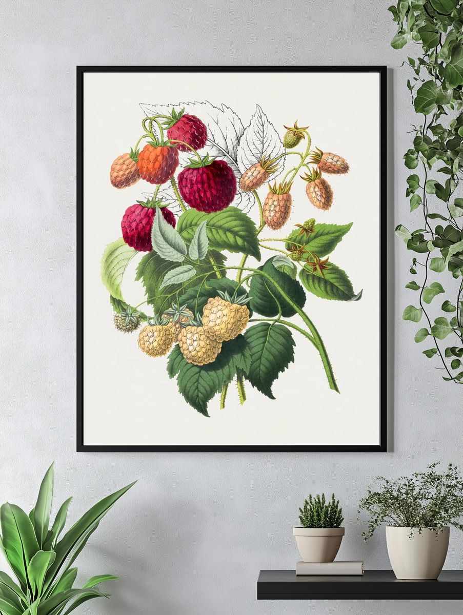 Vintage strawberry. Original Biodiversity Heritage. — room view 4