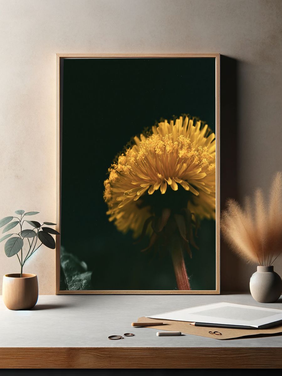 Golden Dandelion Macro Photography Poster. — room view 2