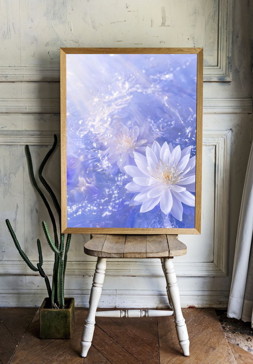 Floating Water Lily Photography Poster. — room view 1