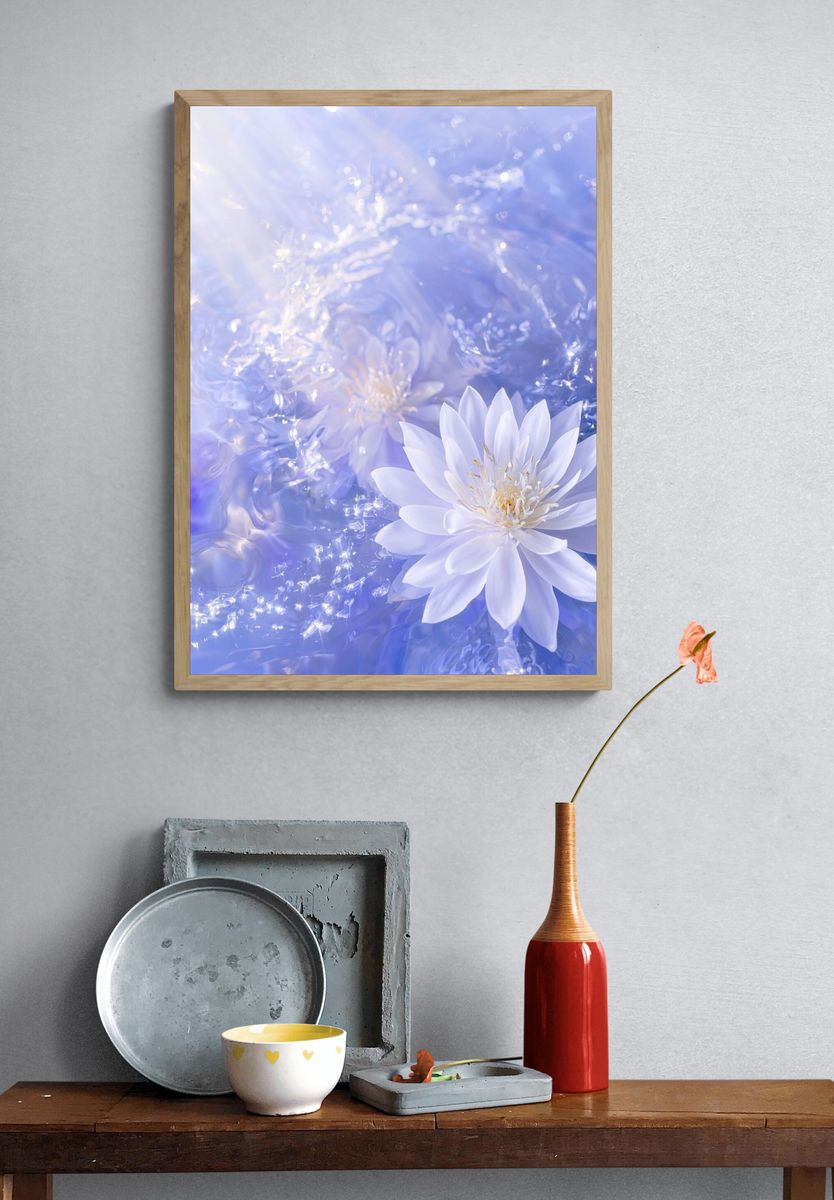 Floating Water Lily Photography Poster. — room view 3