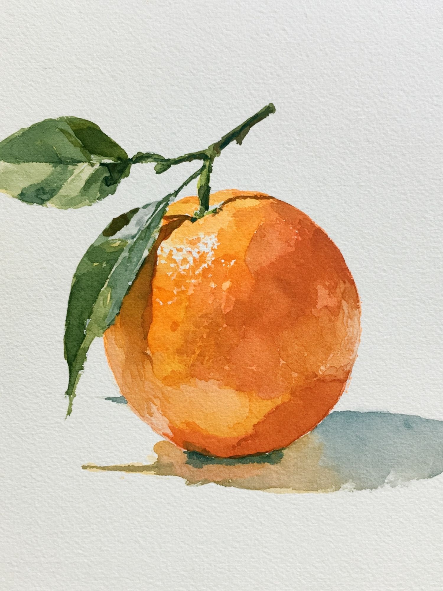 Orange Watercolor Fruit Poster. poster — botanical art